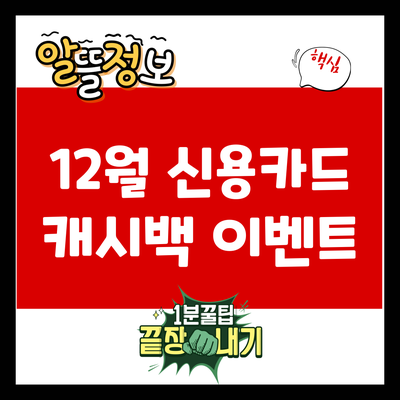 12월 신용카드 캐시백 이벤트