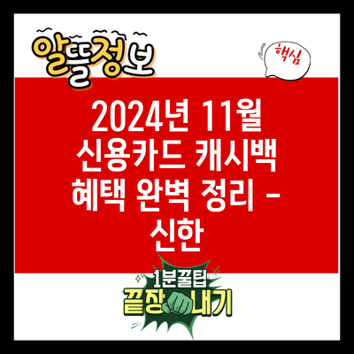 2024년 11월 신용카드 캐시백 혜택 완벽 정리 – 신한