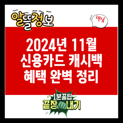 2024년 11월 신용카드 캐시백 혜택 완벽 정리