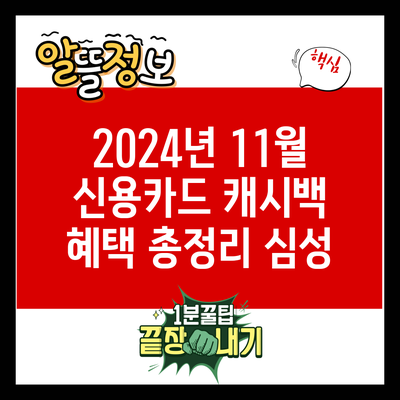 2024년 11월 신용카드 캐시백 혜택 총정리: 심성