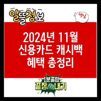 2024년 11월 신용카드 캐시백 혜택 총정리