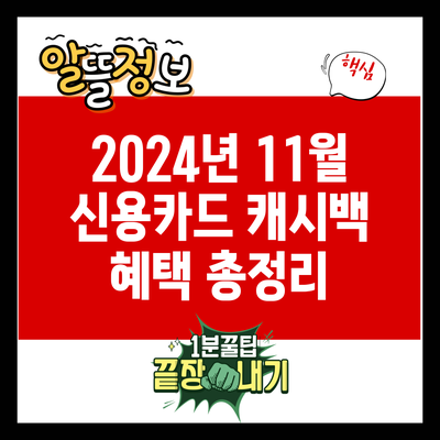 2024년 11월 신용카드 캐시백 혜택 총정리