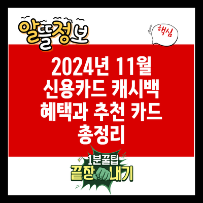 2024년 11월 신용카드 캐시백 혜택과 추천 카드 총정리