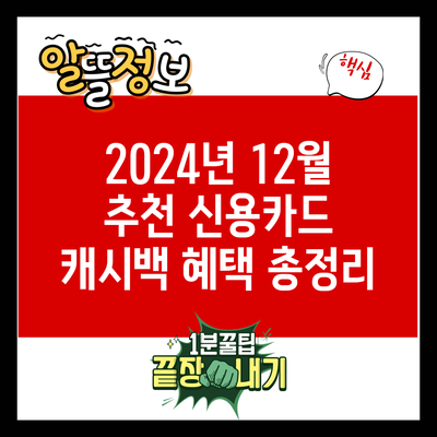 2024년 12월 추천 신용카드 캐시백 혜택 총정리