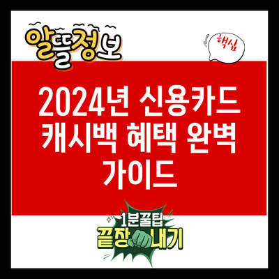 2024년 신용카드 캐시백 혜택 완벽 가이드