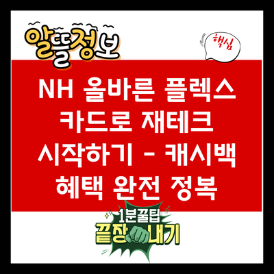 NH 올바른 플렉스 카드로 재테크 시작하기 – 캐시백 혜택 완전 정복