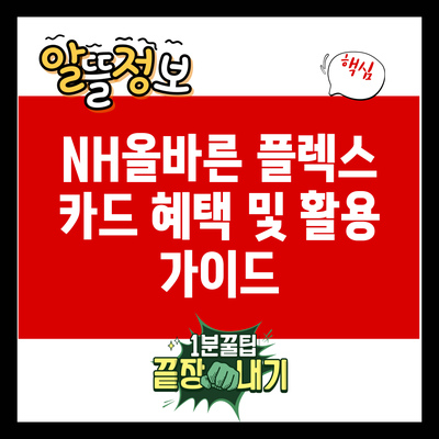 NH올바른 플렉스 카드 혜택 및 활용 가이드