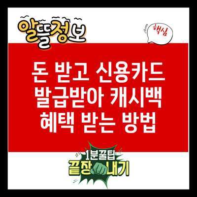 돈 받고 신용카드 발급받아 캐시백 혜택 받는 방법