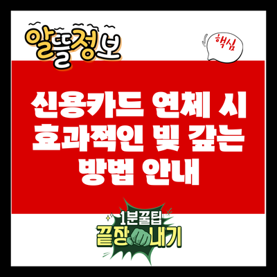 신용카드 연체 시 효과적인 빚 갚는 방법 안내