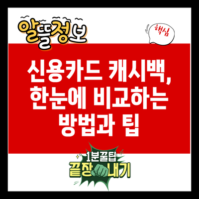 신용카드 캐시백, 한눈에 비교하는 방법과 팁