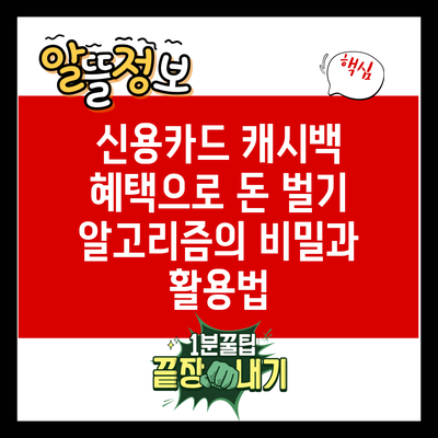 신용카드 캐시백 혜택으로 돈 벌기: 알고리즘의 비밀과 활용법