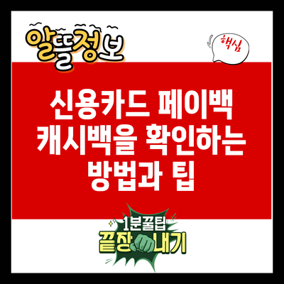 신용카드 페이백: 캐시백을 확인하는 방법과 팁