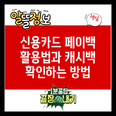 신용카드 페이백 활용법과 캐시백 확인하는 방법