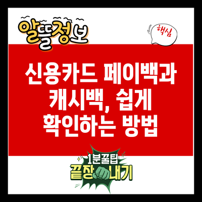 신용카드 페이백과 캐시백, 쉽게 확인하는 방법