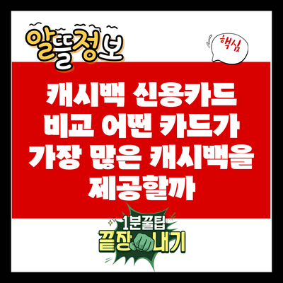 캐시백 신용카드 비교: 어떤 카드가 가장 많은 캐시백을 제공할까?