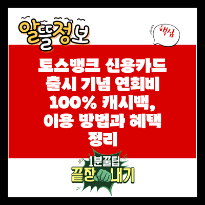 토스뱅크 신용카드 출시 기념 연회비 100% 캐시백, 이용 방법과 혜택 정리