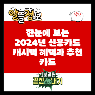 한눈에 보는 2024년 신용카드 캐시백 혜택과 추천 카드