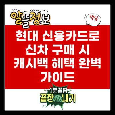 현대 신용카드로 신차 구매 시 캐시백 혜택 완벽 가이드
