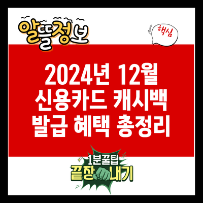 2024년 12월 신용카드 캐시백 발급 혜택 총정리