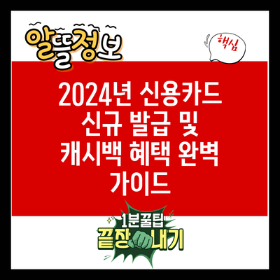 2024년 신용카드 신규 발급 및 캐시백 혜택 완벽 가이드