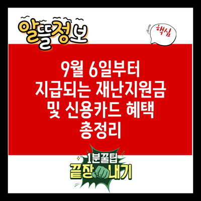 9월 6일부터 지급되는 재난지원금 및 신용카드 혜택 총정리