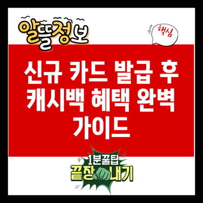 신규 카드 발급 후 캐시백 혜택 완벽 가이드
