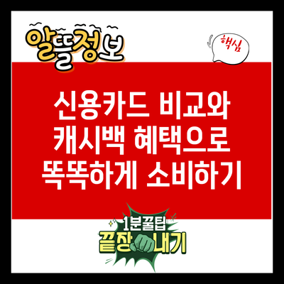 신용카드 비교와 캐시백 혜택으로 똑똑하게 소비하기