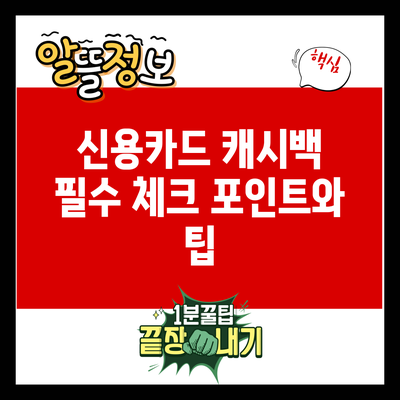 신용카드 캐시백: 필수 체크 포인트와 팁