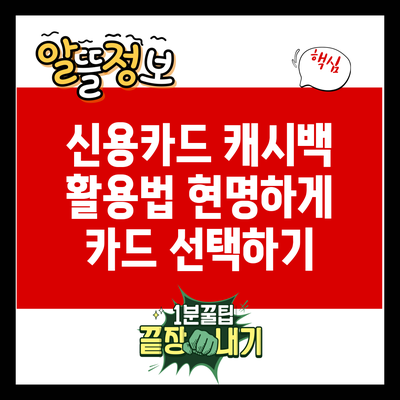 신용카드 캐시백 활용법: 현명하게 카드 선택하기