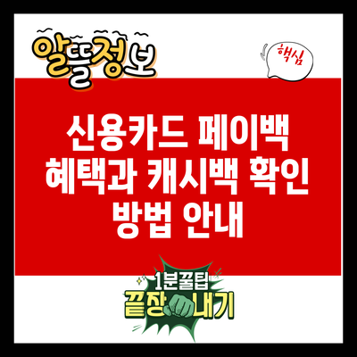 신용카드 페이백 혜택과 캐시백 확인 방법 안내
