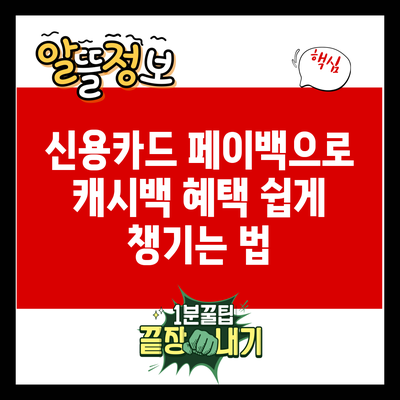 신용카드 페이백으로 캐시백 혜택 쉽게 챙기는 법