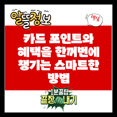 카드 포인트와 혜택을 한꺼번에 챙기는 스마트한 방법