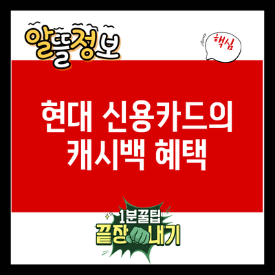 현대 신용카드의 캐시백 혜택